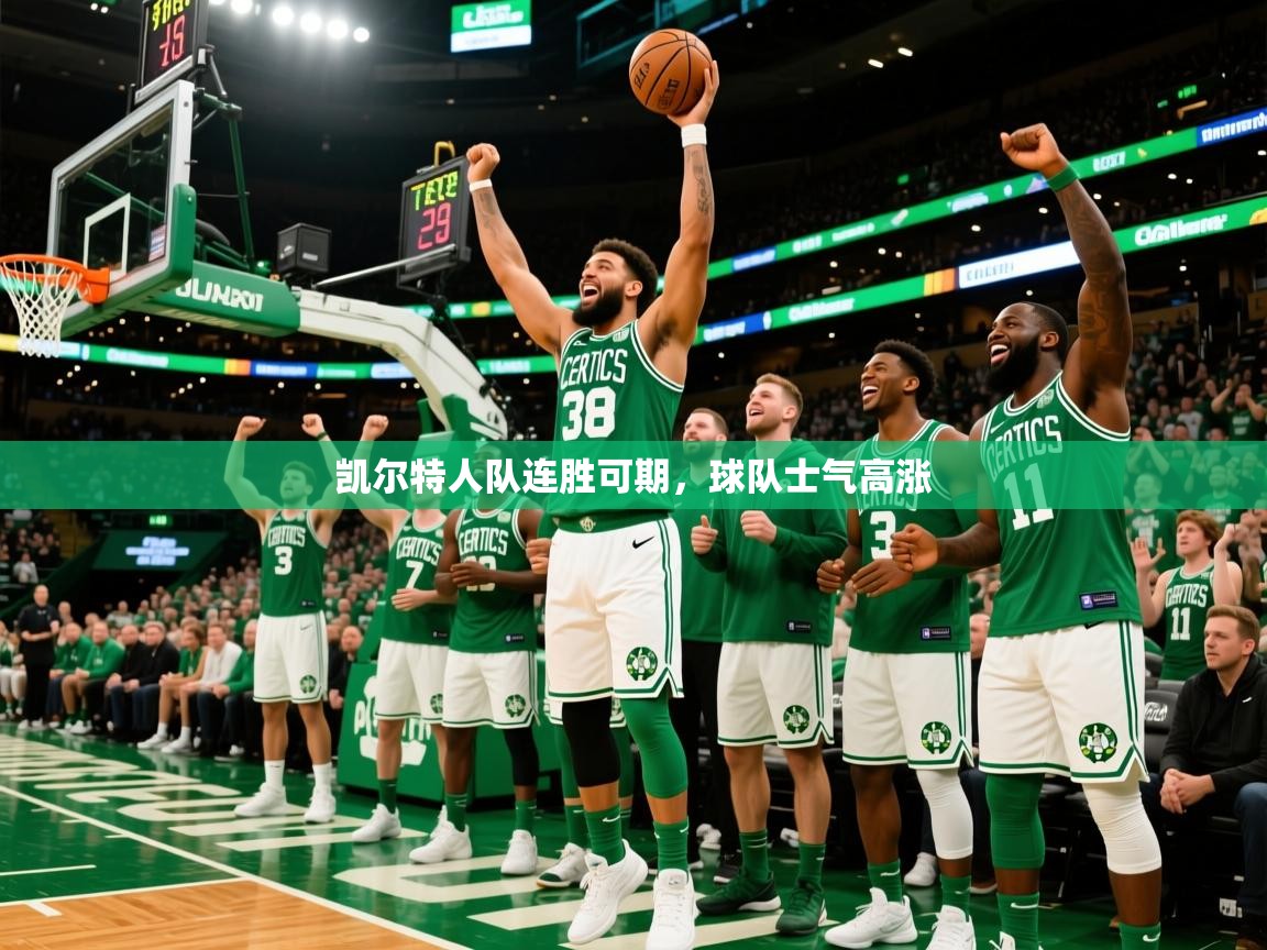 2025爱游戏ayx体育app官方网站入口凯尔特人队连胜可期,球队士气高涨  第1张