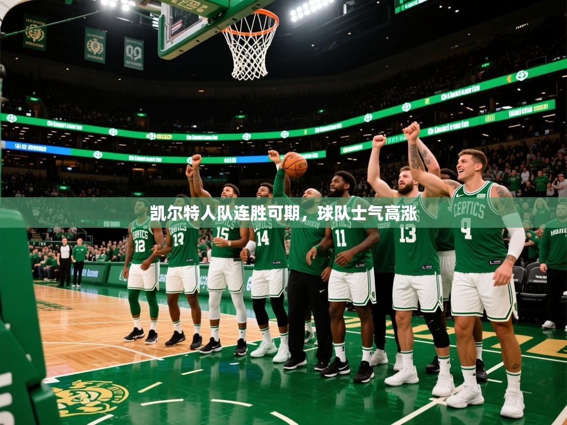 2025爱游戏ayx体育app官方网站入口凯尔特人队连胜可期,球队士气高涨  第3张