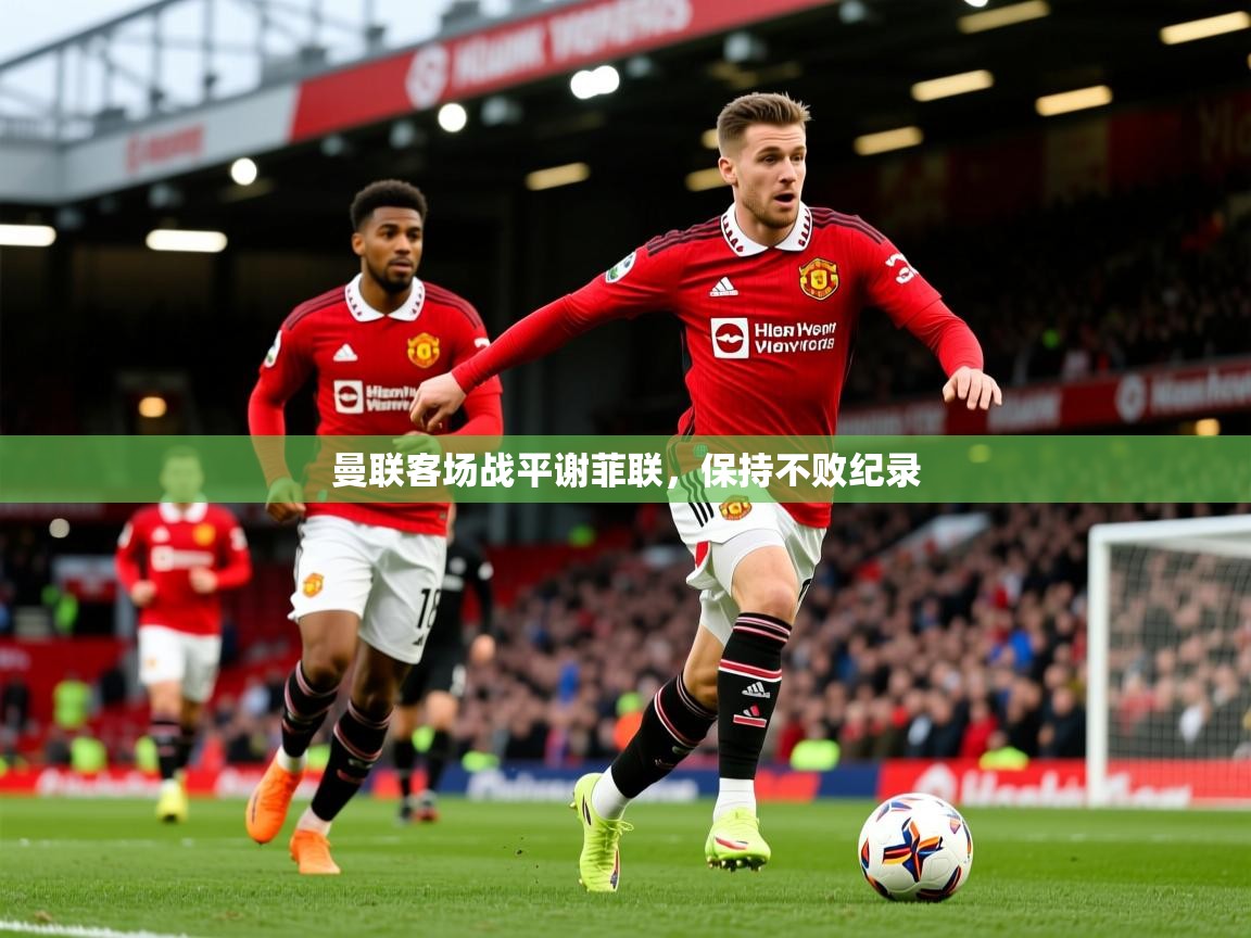 2025爱游戏ayx体育app官方网站入口曼联客场战平谢菲联,保持不败纪录 第3张