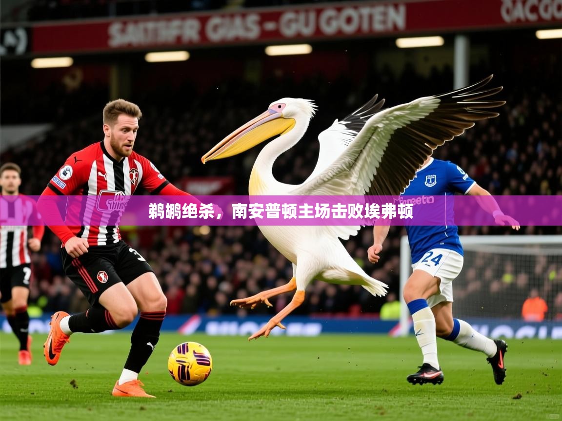 2025爱游戏体育app官网鹈鹕绝杀，南安普顿主场击败埃弗顿  第1张