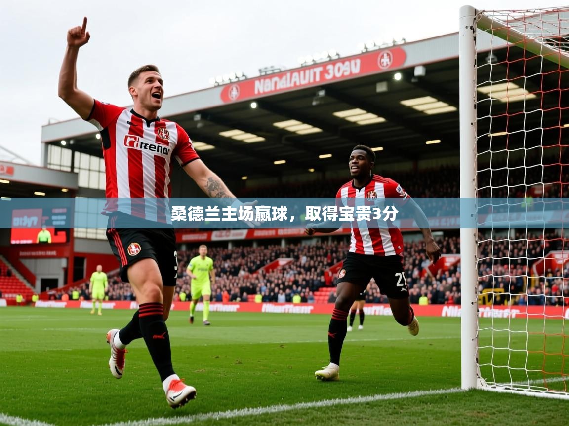 2026爱游戏体育在线注册桑德兰主场赢球，取得宝贵3分  第3张